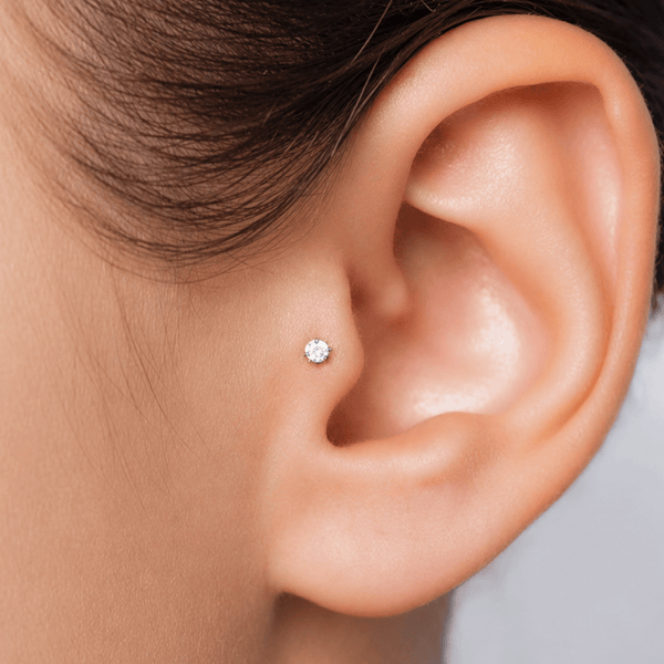 Piercing's Tragus