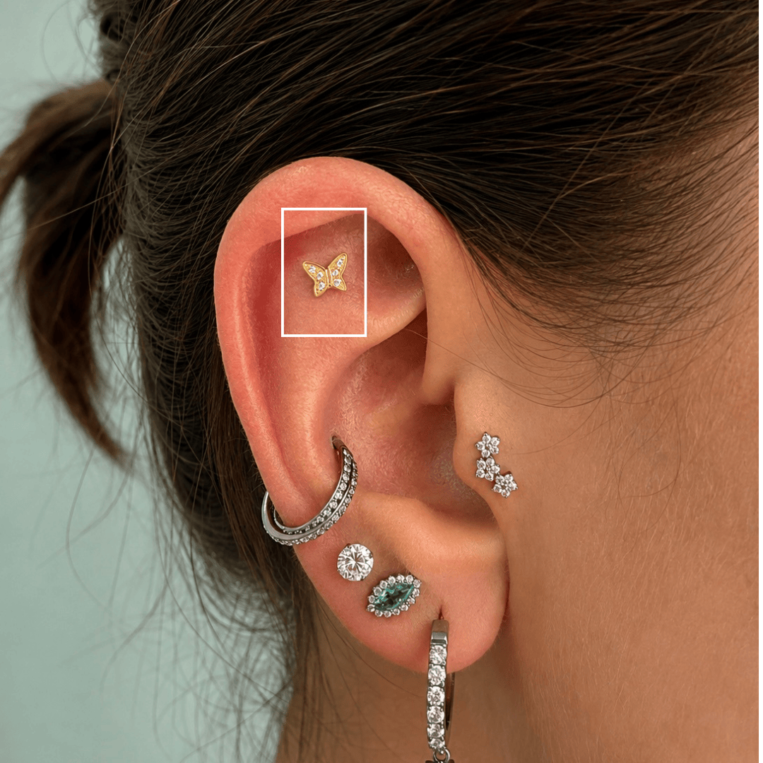 Piercing Helix Borboleta em Titânio | Pratinhas