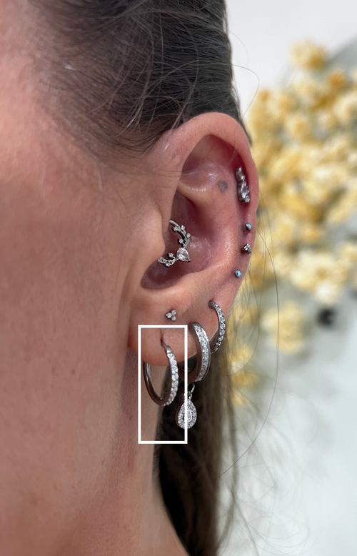 Brincos Argola Cravejados em Titânio – Par Premium