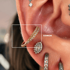 Piericng Conch Titânio Duplo Zircônias cravejadas | Pratinhas