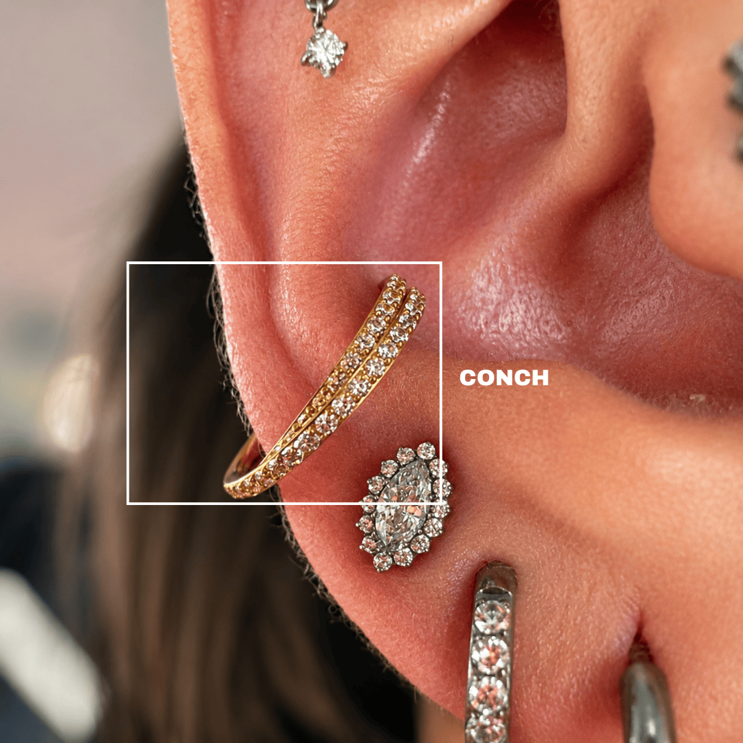 Piericng Conch Titânio Duplo Zircônias cravejadas | Pratinhas