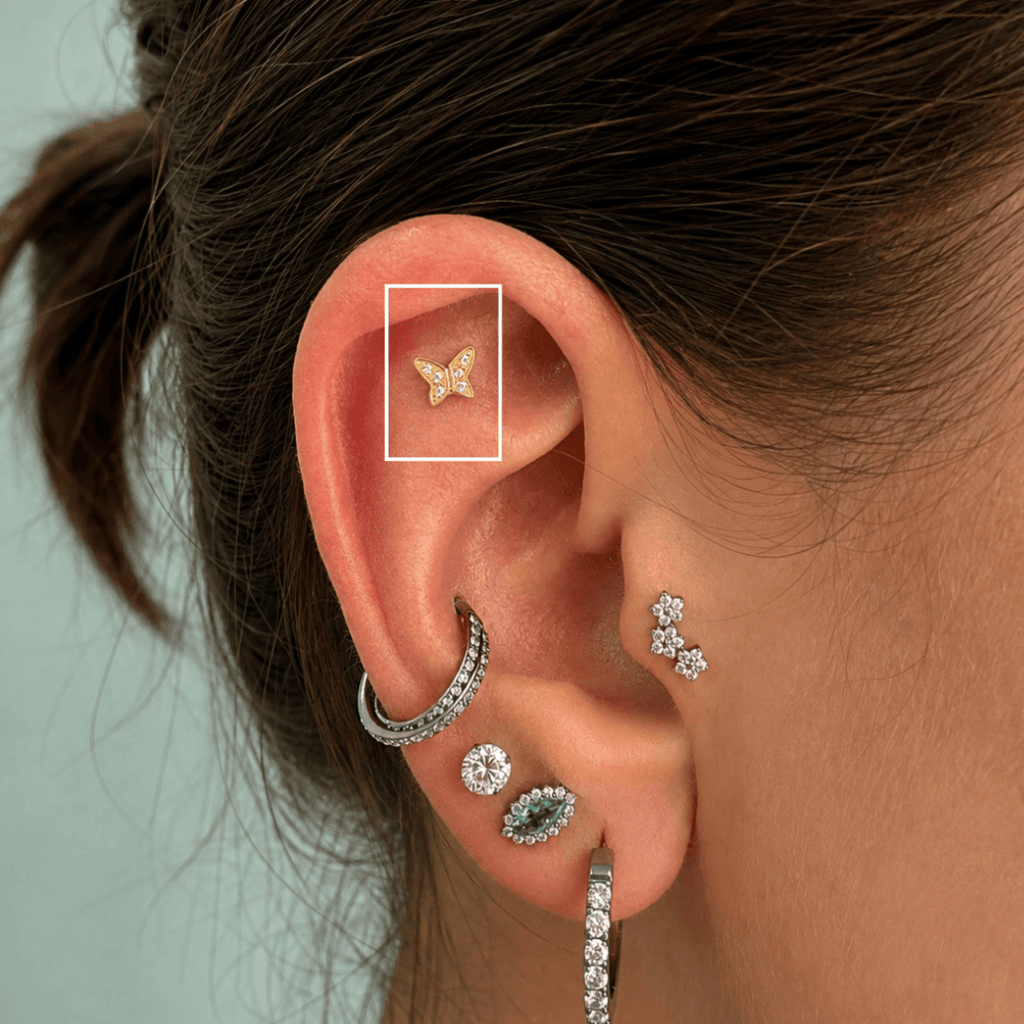 Piercing Borboleta em Titânio | Pratinhas