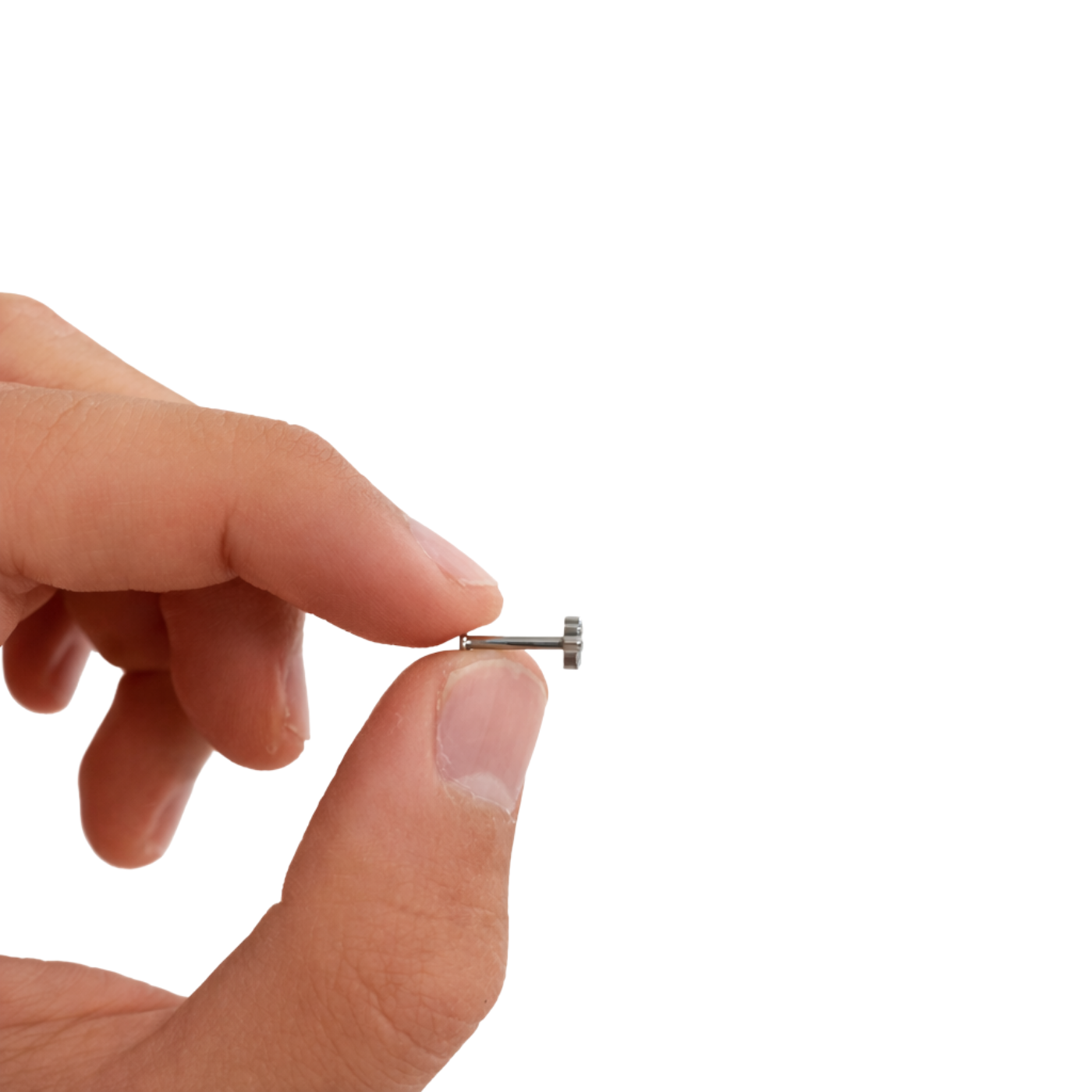 Piercing Lumière Ramo Titânio Pratinhas