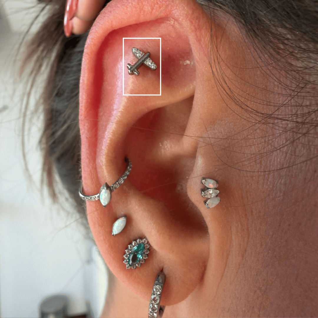 Piercing Avião em Titânio | Pratinhas
