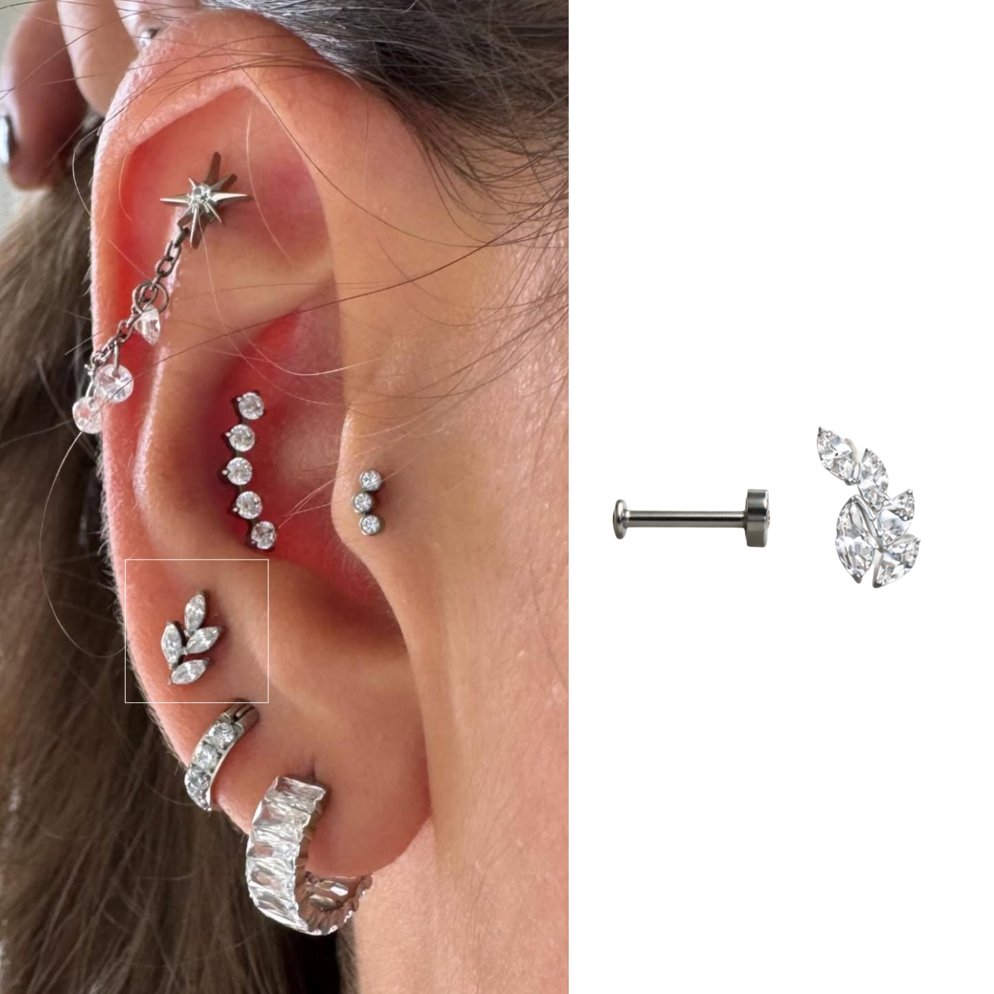 Piercing Lumière Ramo em Titânio | Argola Cartilagem | Pratinhas