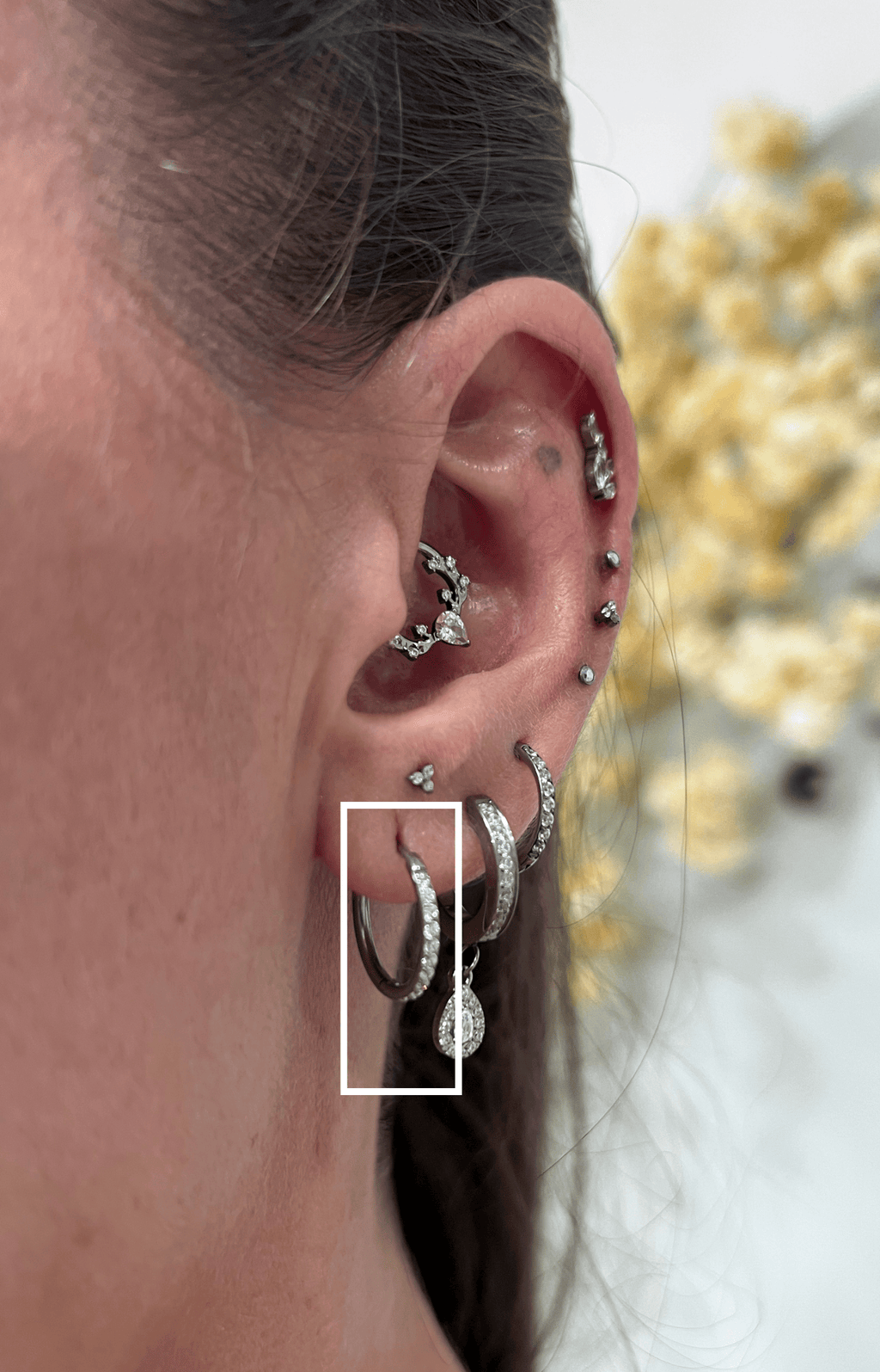 Brincos Argola Cravejados em Titânio Premium | Pratinhas